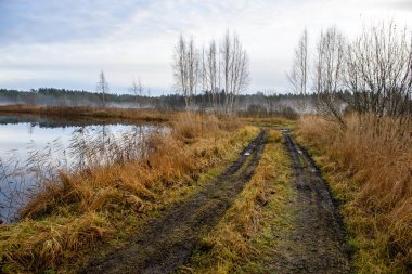 sonbahar kırsalında boş çekici yolda. çakıl yüzeyi