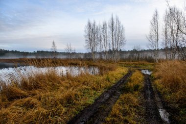 sonbahar kırsalında boş çekici yolda. çakıl yüzeyi