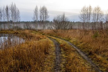 sonbahar kırsalında boş çekici yolda. çakıl yüzeyi