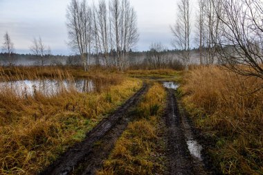 sonbahar kırsalında boş çekici yolda. çakıl yüzeyi