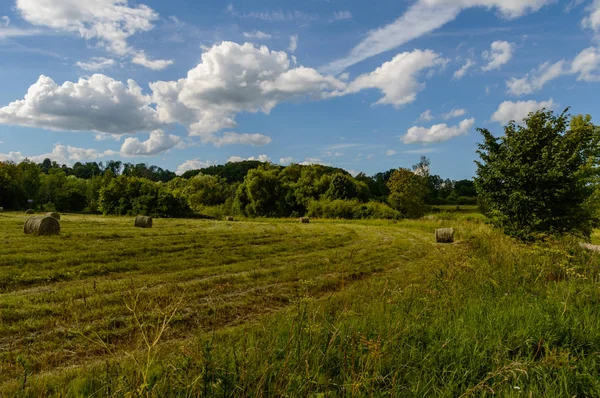 Літній ландшафт з пшеничним полем і хмарами — стокове фото