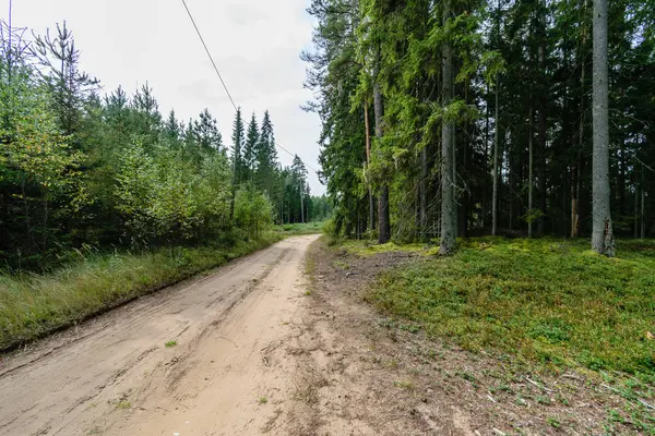 Strada vuota in campagna in estate. superficie di ghiaia — Foto Stock