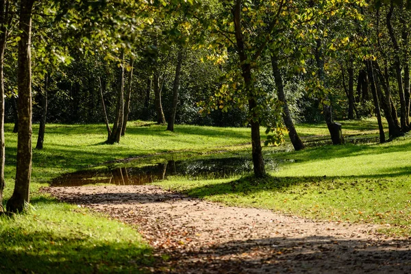 Lege weg op het platteland in de zomer. grind oppervlak — Stockfoto