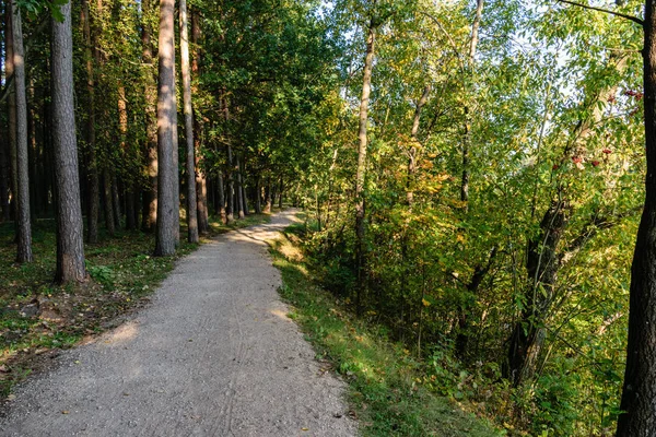 Boş yol yaz aylarında şehir dışında. çakıl yüzeyi