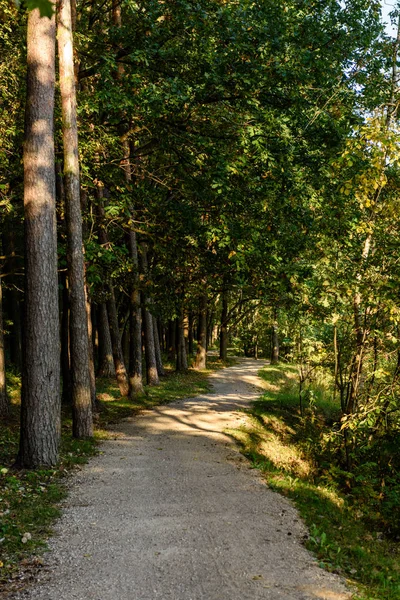 Lege weg op het platteland in de zomer. grind oppervlak — Stockfoto