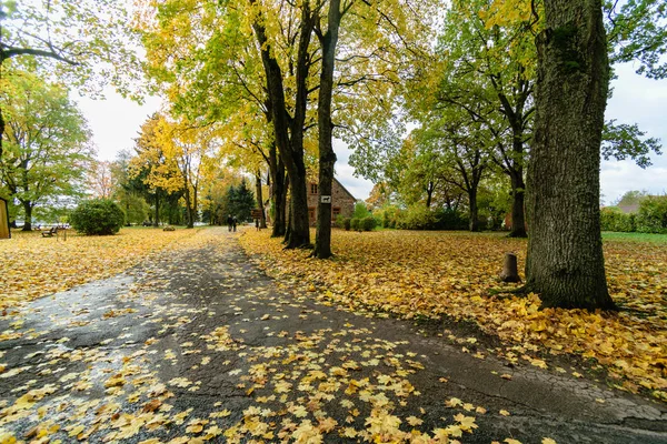 Puste drogi w okolicach jesieni. żwirowym — Zdjęcie stockowe
