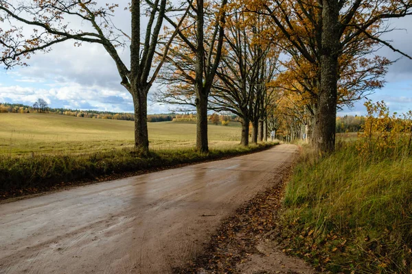 Empty road in the countryside in autumn. gravel surface — Stock Photo, Image