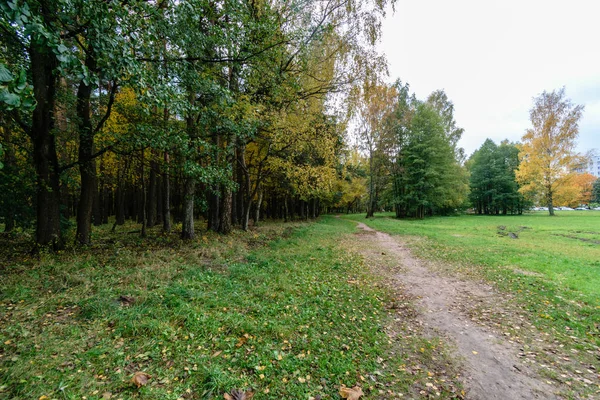 Route vide à la campagne en automne. surface de gravier — Photo