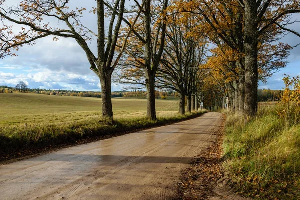 Empty road in the countryside in autumn. gravel surface — Stock Photo, Image