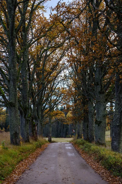 农村的秋天是空的路。砾石表面 — 图库照片