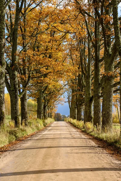 Estrada vazia no campo no outono. superfície de cascalho — Fotografia de Stock