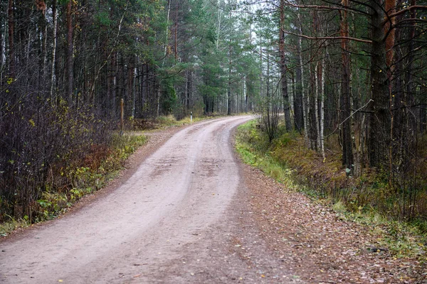 Strada forestale vuota in campagna in autunno. superficie di ghiaia — Foto Stock