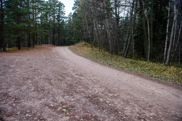 Tom skogsväg på landsbygden i höst. grus yta — Stockfoto