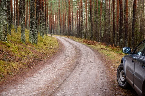 Pusty Las droga rowerowa w jesieni. żwirowym — Zdjęcie stockowe