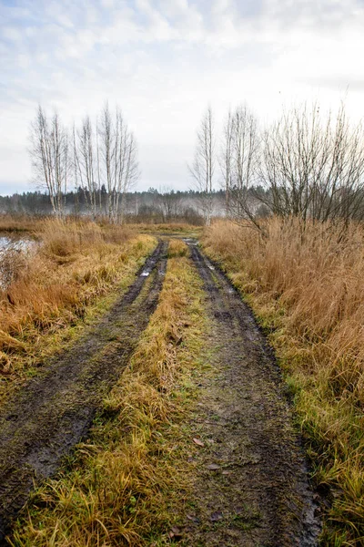 sonbahar kırsalında boş çekici yolda. çakıl yüzeyi