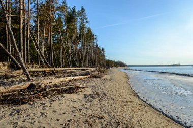 güzel kırsal manzara