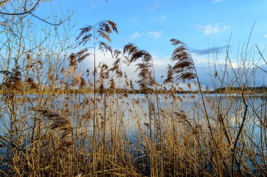 güzel kırsal manzara