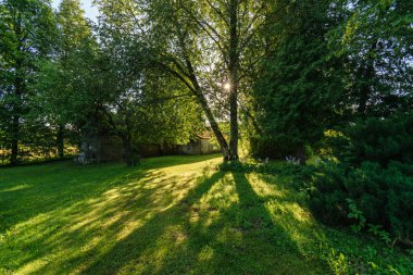 güzel kırsal manzara