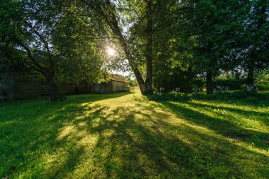 güzel kırsal manzara