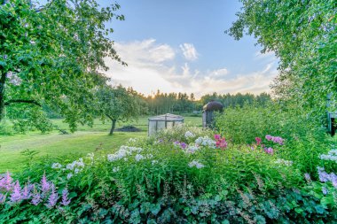 yaz çiçek ve bents akşam güneşin altında yemyeşil soyut