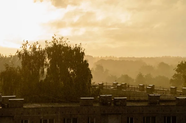 Regen in sunrise — Stockfoto