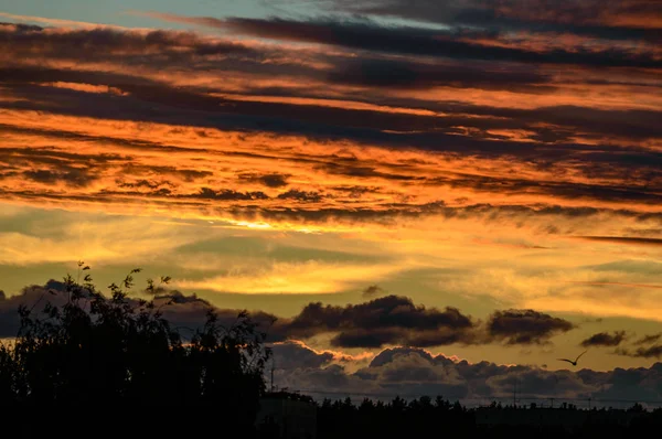 극적인 붉은 구름 — 스톡 사진