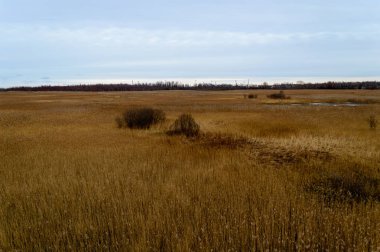 Sonbahar boş alanları kırsal kesimde
