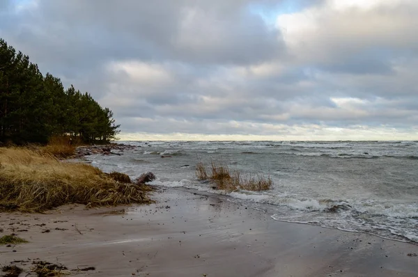 Високі хвилі в Балтійському морі — стокове фото