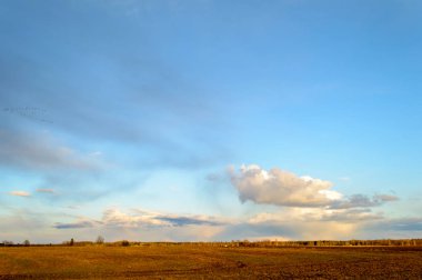 Sonbahar boş alanları kırsal kesimde