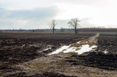 Sonbahar boş alanları kırsal kesimde