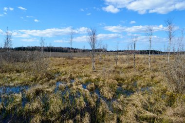 Sonbahar boş alanları kırsal kesimde