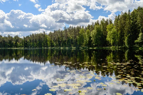 Yaz aylarında kırsalında renkli Göl Nehir
