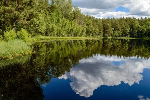 Yaz aylarında kırsalında renkli Göl Nehir