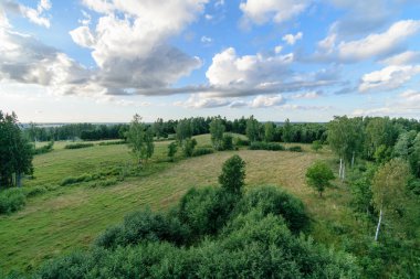 kırsal kesimde boş renkli çayır çiçeklerle ön plan