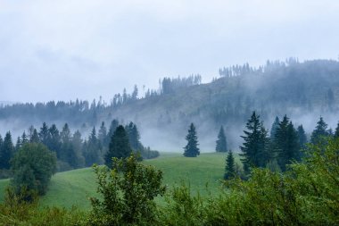 puslu sabah Slovakça tatra alanında ıslak dağ görünümünde. autu