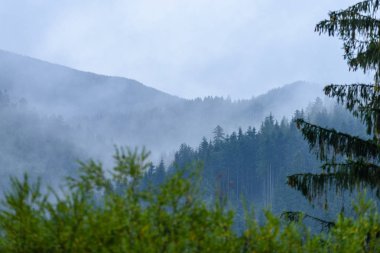 puslu sabah Slovakça tatra alanında ıslak dağ görünümünde. autu