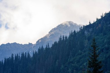 Slovakça tatra alanında ıslak dağ görünümünde puslu sabah