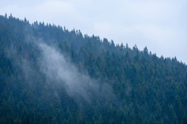 puslu sabah Slovakça tatra alanında ıslak dağ görünümünde. autu