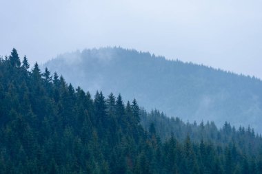 puslu sabah Slovakça tatra alanında ıslak dağ görünümünde. autu