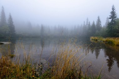 puslu sabah Slovakça tatra alanında ıslak dağ görünümünde. yarış