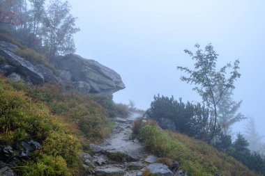 puslu sabah Slovakça tatra alanında ıslak dağ görünümünde. Tur