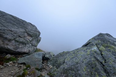 Slovakça tatra alanında ıslak dağ görünümünde puslu sabah