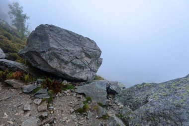 Slovakça tatra alanında ıslak dağ görünümünde puslu sabah
