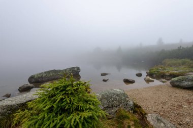puslu sabah Slovakça tatra alanında ıslak dağ görünümünde. yarış