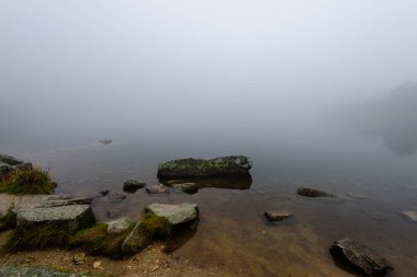 puslu sabah Slovakça tatra alanında ıslak dağ görünümünde. yarış
