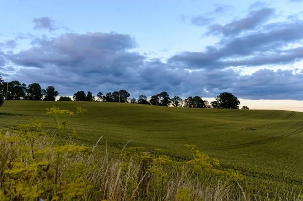 Empty fields in countryside — Stock Photo, Image