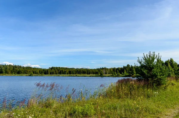Rzeka jezioro kolorowy w okolicy latem — Zdjęcie stockowe