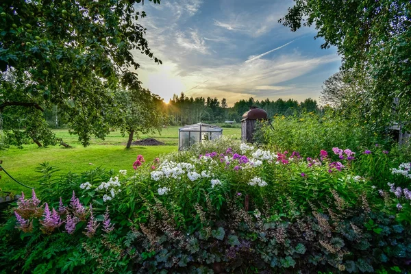 Empty colorful meadows in countryside with flowers in foreground — Stock Photo, Image