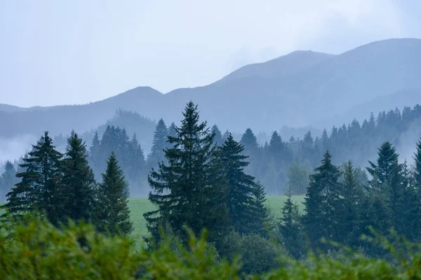 Mlhavé ráno pohled v mokré horské oblasti slovenské Tatry. autu — Stock fotografie