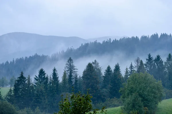 Mlhavé ráno pohled v mokré horské oblasti slovenské Tatry. autu — Stock fotografie